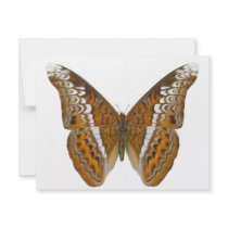 Admiral Butterfly Personalized Invite