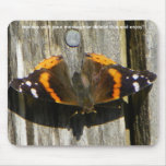 Admiral Butterfly Mousepad