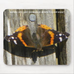Admiral Butterfly Mousepad