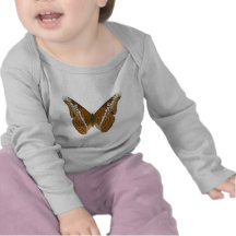 Admiral Butterfly Tshirts