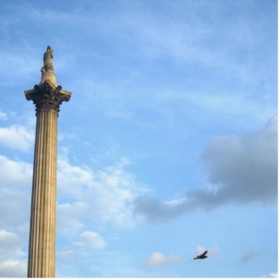 admiral_nelson_and_his_bird_photosculpture-p153294471567140995qdjh_400.jpg