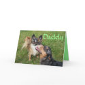 Admiration of Daddy cards