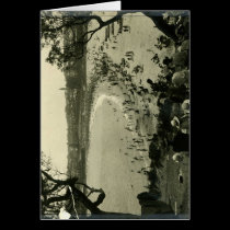 Admiring Coogee Beach c.1940 cards