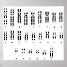 ADN humano Poster