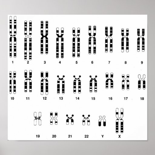 ADN humano Poster