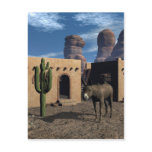 Adobe Dwellings and Burro Postcard