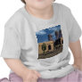 Adobe Dwellings and Burro T-shirts