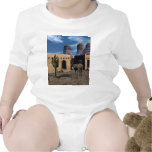 Adobe Dwellings and Burro Tees