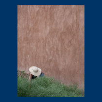Adobe Wall & Gardener posters