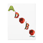 Adobo Chili Peppers Post Card