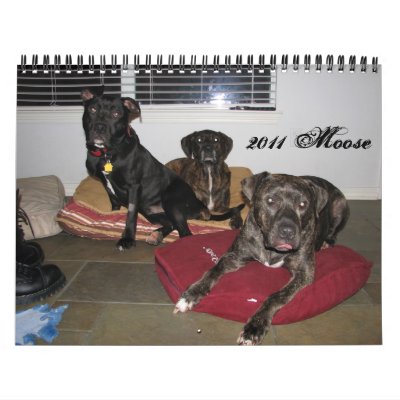 adognamedmoose.blogspot.com wall calendars by kattinthehat