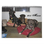 adognamedmoose.blogspot.com wall calendars