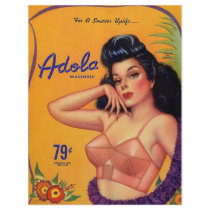 Adola Brassieres Letterhead Design