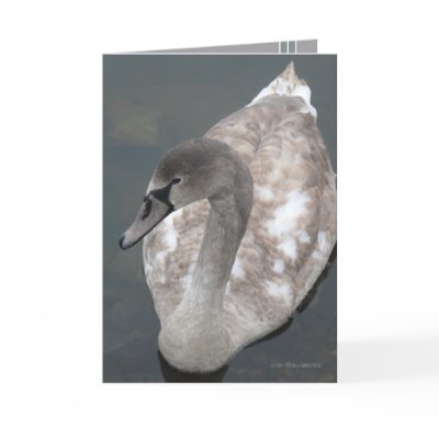 Adolescent Beauty Greeting Card by MoiraAshleigh