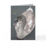 Adolescent Beauty Greeting Card