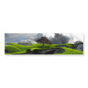 Adolescent Eyes bumper stickers
