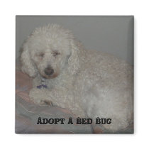 Adopt A Bed Bug magnets by 0mercury Adopt A Bed Bug magnets