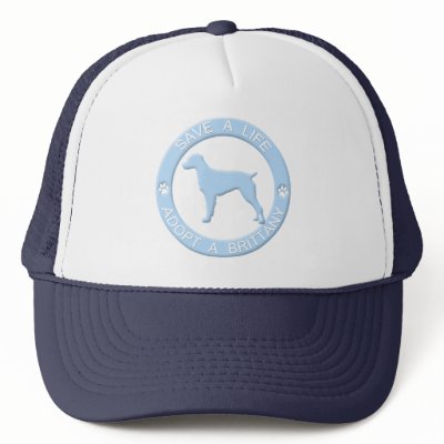 Adopt a Brittany Hat by MenagerieMayhem
