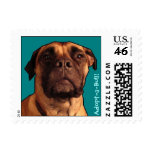 Adopt-a-Bull! Postage Stamp