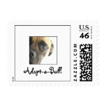 Adopt-a-Bull! Postage