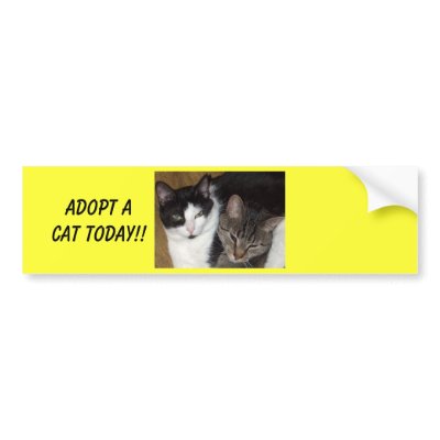 Adopt A Cat Bumper Sticker by Rock_shirts48