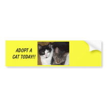 Adopt A Cat Bumper Sticker bumper stickers by Rock_shirts48 Adopt A Cat Bumper Sticker bumper stickers