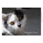 Adopt a Cat Card