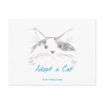 Adopt a Cat Post Cards