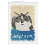 Adopt a cat promotion products cards