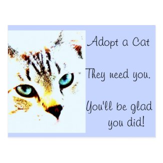 Adopt a Cat They Need You You'll Be Glad You Did Post Card