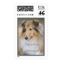 Adopt a Collie, collie rescue, rough collie postage