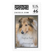 Adopt a Collie, collie rescue, rough collie postage by Ethereal1 Adopt a Collie, collie rescue, rough collie postage
