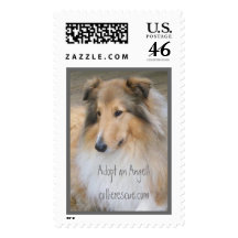Adopt a Collie, collie rescue, rough collie Stamp