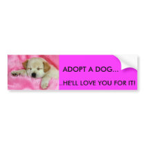 ADOPT A DOG BUMPER STICKER