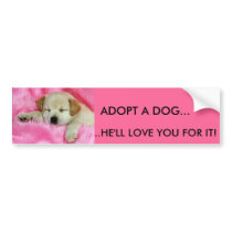 ADOPT A DOG BUMPER STICKER - Customized