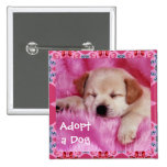Adopt a Dog Button