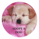Adopt a Dog Sticker