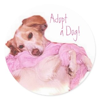 Adopt a Dog Sticker sticker