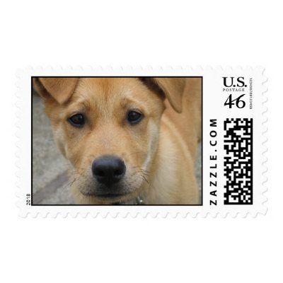 Adopt a dog today stamp - mutt