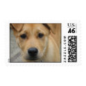 Adopt a dog today stamp - mutt by puppydogs Adopt a dog today stamp - mutt
