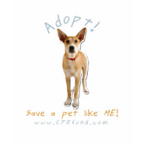 adopt a dog t-shirts