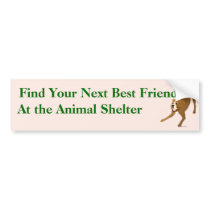 Adopt A Friend Bumper Sticker 17 bumper stickers by dogplay Adopt A Friend Bumper Sticker 17 bumper stickers