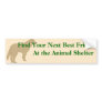 Adopt A Friend Bumper Sticker 4