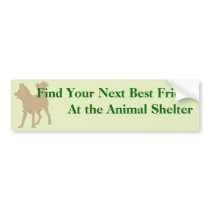 Adopt A Friend Bumper Sticker 6 bumper stickers by dogplay Adopt A Friend Bumper Sticker 6 bumper stickers