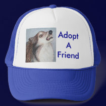 Adopt A Friend Hat