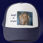 Adopt A Friend Hat hats