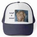 Adopt A Friend Hat