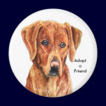 Adopt a Friend Magnet magnets