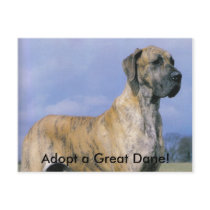 Adopt a Great Dane! postcard