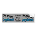Adopt A Greyhound Bumper Sticker bumper stickers